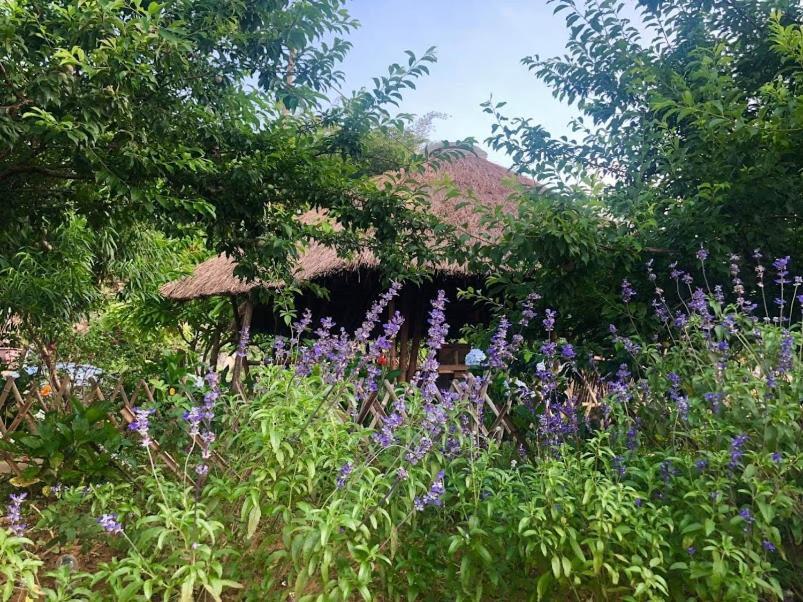 Bed and Breakfast Savana Моктяу Екстер'єр фото
