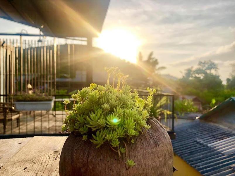 Bed and Breakfast Savana Моктяу Екстер'єр фото